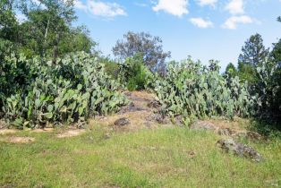 Single Family Residence, Keaton avenue, Sonoma, CA 95476 - 27