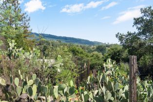 Single Family Residence, Keaton avenue, Sonoma, CA 95476 - 25
