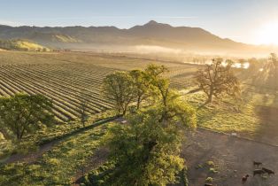 Single Family Residence,  Highway 128 none, Calistoga, CA 94515 - 28