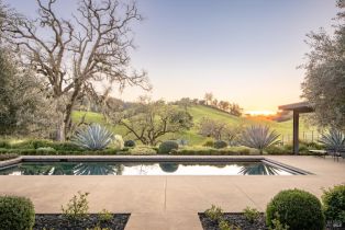 Single Family Residence,  Highway 128 none, Calistoga, CA 94515 - 23