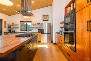 Single Family Residence,  Fish Rock road, Sea Ranch, CA 95497 - 7