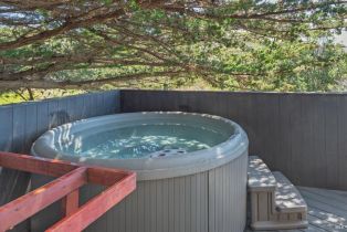 Single Family Residence,  Fish Rock road, Sea Ranch, CA 95497 - 12