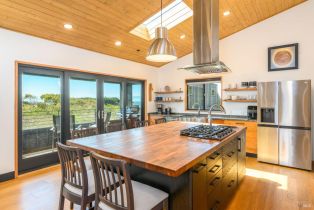 Single Family Residence,  Fish Rock road, Sea Ranch, CA 95497 - 5