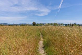 Single Family Residence, Village drive, Santa Rosa, CA 95403 - 29