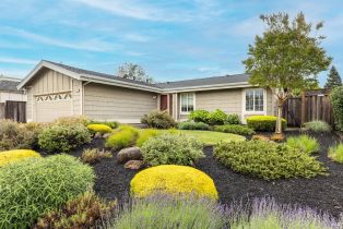 Single Family Residence, Anita court, Napa, CA 94558 - 47