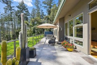 Single Family Residence, Erland road, Santa Rosa, CA 95404 - 59