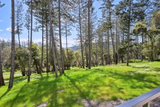 Single Family Residence, Erland road, Santa Rosa, CA 95404 - 77
