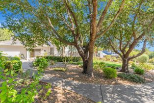 Single Family Residence,  Vinecrest road, Windsor, CA 95492 - 41