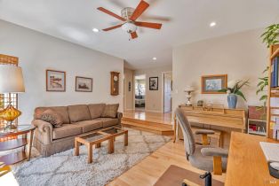 Single Family Residence,  Vinecrest road, Windsor, CA 95492 - 20