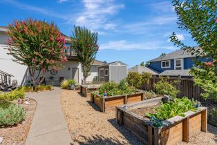 Single Family Residence,  Vinecrest road, Windsor, CA 95492 - 42