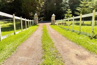 Single Family Residence, Hwy 116 highway, Russian River, CA 95446 - 10