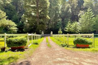 Single Family Residence, Hwy 116 highway, Russian River, CA 95446 - 35
