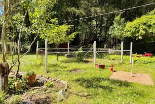Single Family Residence, Hwy 116 highway, Russian River, CA 95446 - 38