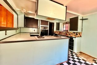 Single Family Residence, Hwy 116 highway, Russian River, CA 95446 - 17