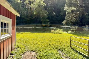 Single Family Residence, Hwy 116 highway, Russian River, CA 95446 - 47