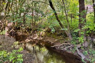 Single Family Residence, Hwy 116 highway, Russian River, CA 95446 - 45