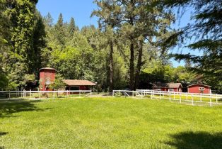 Single Family Residence, Hwy 116 highway, Russian River, CA 95446 - 2