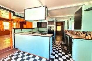 Single Family Residence, Hwy 116 highway, Russian River, CA 95446 - 15