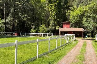 Single Family Residence, Hwy 116 highway, Russian River, CA 95446 - 5