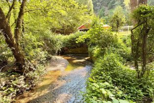 Single Family Residence, Hwy 116 highway, Russian River, CA 95446 - 44