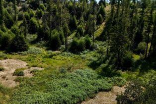 Residential Acreage,  St Helena road, Santa Rosa, CA 95404 - 12