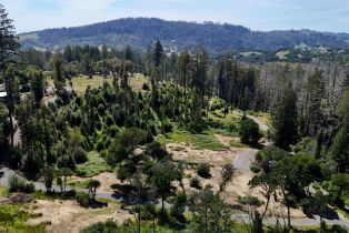 Residential Acreage,  St Helena road, Santa Rosa, CA 95404 - 13