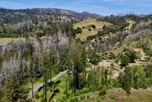 Residential Acreage,  St Helena road, Santa Rosa, CA 95404 - 9