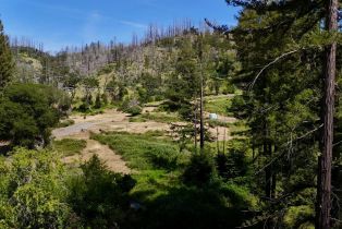 Residential Acreage,  St Helena road, Santa Rosa, CA 95404 - 8