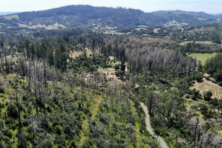 Residential Acreage,  St Helena road, Santa Rosa, CA 95404 - 3