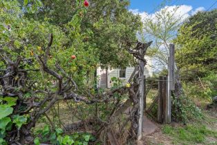 Single Family Residence, Cinnabar avenue, Petaluma, CA 94952 - 18