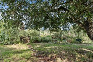 Single Family Residence, Cinnabar avenue, Petaluma, CA 94952 - 24