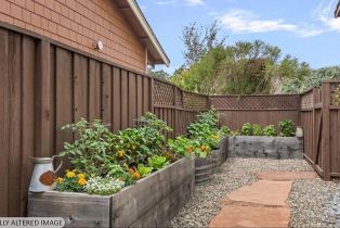 Single Family Residence, Brockman lane, Sonoma, CA 95476 - 43