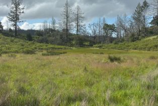 Residential Acreage,  St Helena road, Santa Rosa, CA 95404 - 24