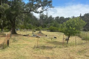 Residential Acreage,  St Helena road, Santa Rosa, CA 95404 - 10