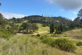 Residential Acreage,  St Helena road, Santa Rosa, CA 95404 - 15