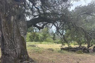 Residential Acreage,  St Helena road, Santa Rosa, CA 95404 - 22