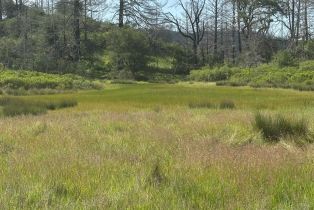 Residential Acreage,  St Helena road, Santa Rosa, CA 95404 - 23