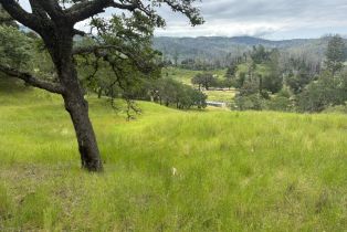 Residential Acreage,  St Helena road, Santa Rosa, CA 95404 - 2