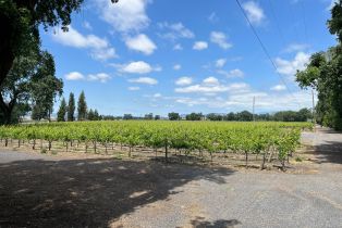 Agriculture,  Mark West Station road, Windsor, CA 95492 - 27