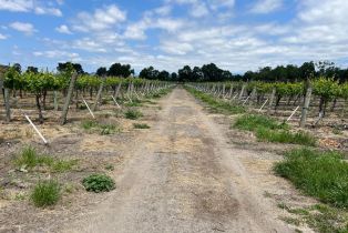 Agriculture,  Mark West Station road, Windsor, CA 95492 - 25