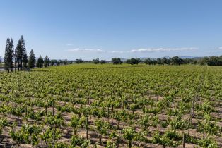 Agriculture,  Mark West Station road, Windsor, CA 95492 - 11
