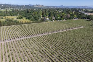Agriculture,  Mark West Station road, Windsor, CA 95492 - 10