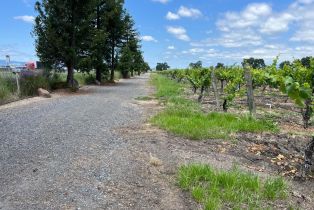 Agriculture,  Mark West Station road, Windsor, CA 95492 - 23