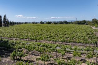 Agriculture,  Mark West Station road, Windsor, CA 95492 - 4