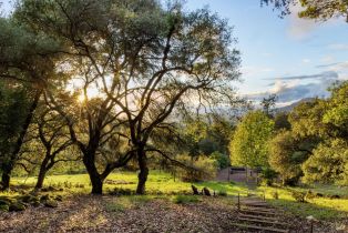 Single Family Residence,  Zachary lane, Glen Ellen, CA 95404 - 4