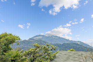 Single Family Residence, Orange avenue, Sonoma, CA 95476 - 50