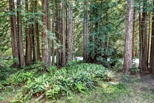 Single Family Residence,  Schooner drive, Sea Ranch, CA 95497 - 9