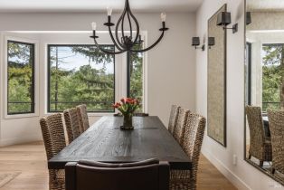 Single Family Residence, Soda Rock lane, Healdsburg, CA 95448 - 19