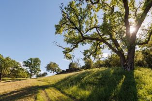 Single Family Residence, Soda Rock lane, Healdsburg, CA 95448 - 40