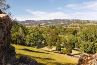 Single Family Residence, Soda Rock lane, Healdsburg, CA 95448 - 41